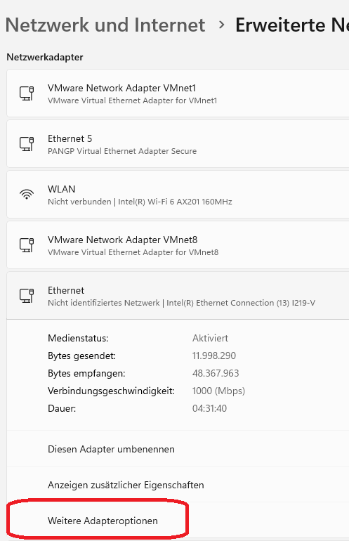 Windows 11 Network Settings dialog